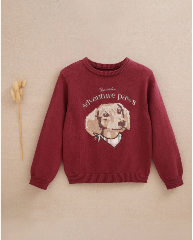 Jersey de niño Andersen
