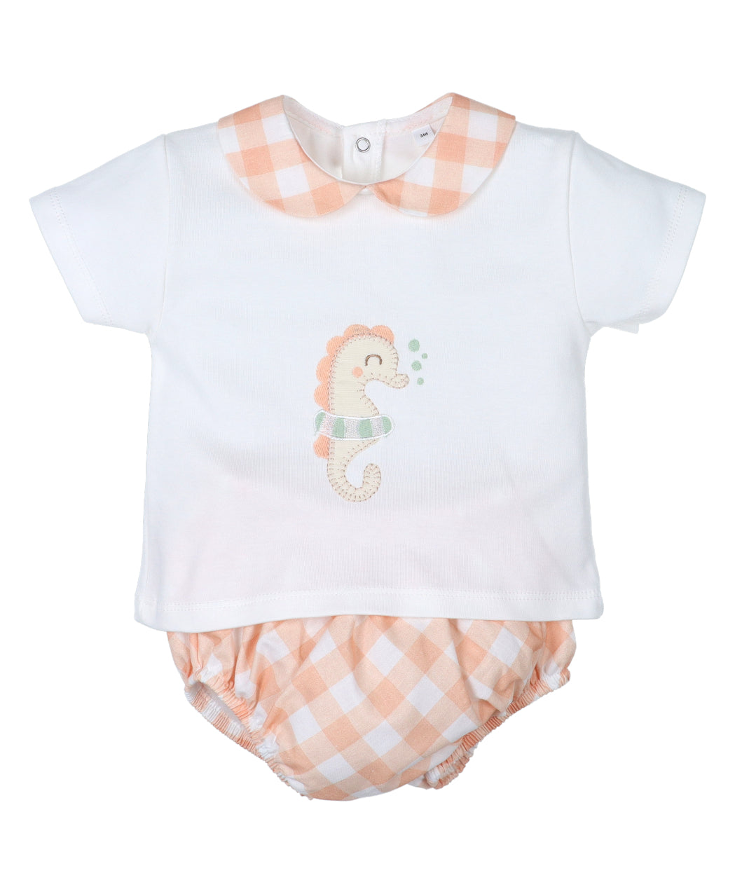 Conjunto ranita colección Coral