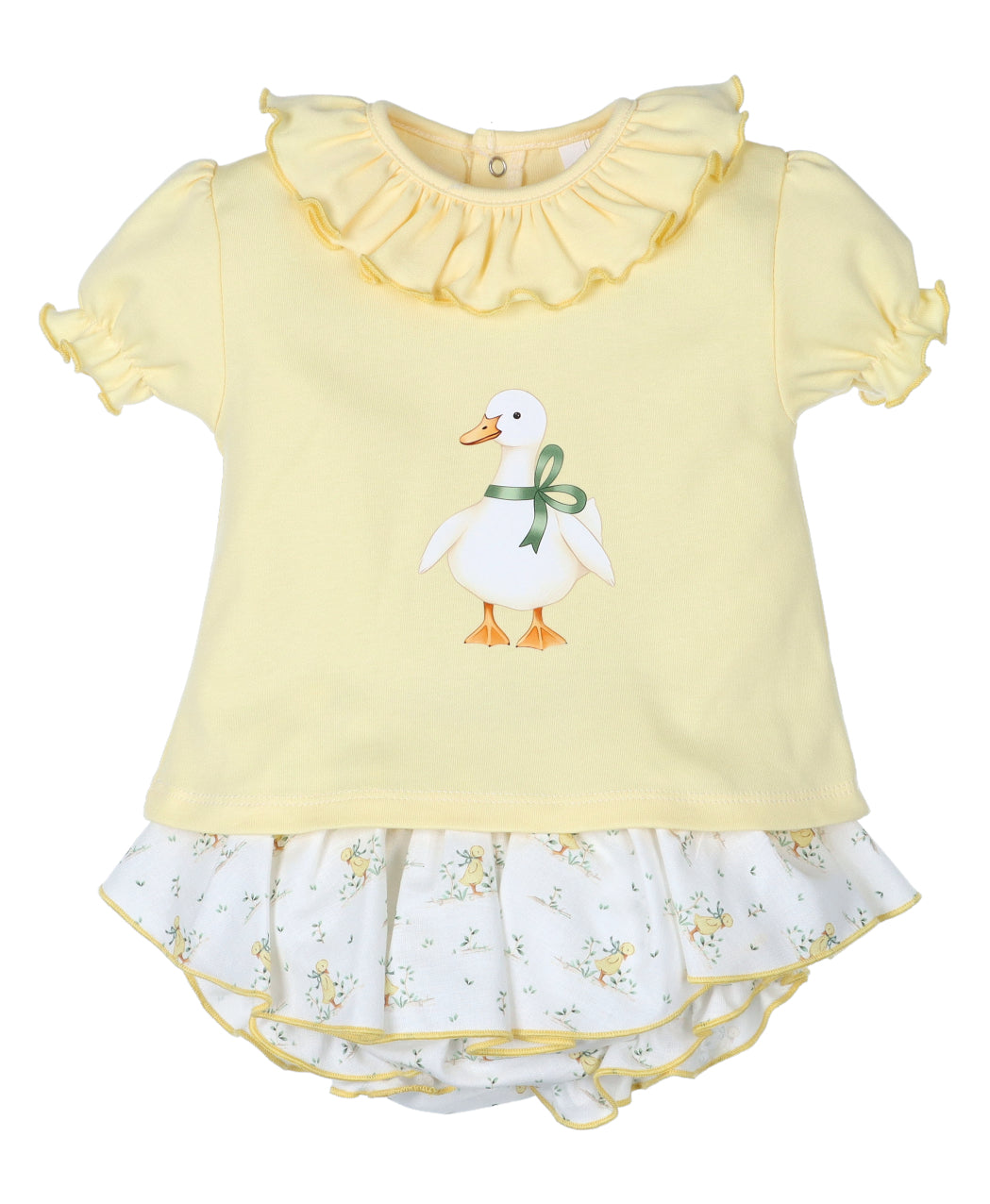 Conjunto colección Honey