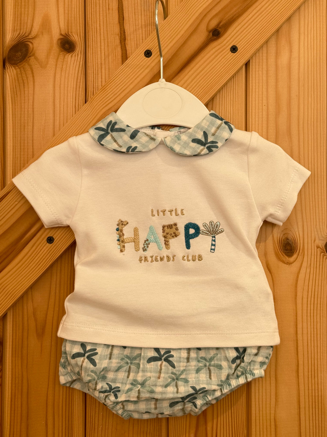 Conjunto colección palmera