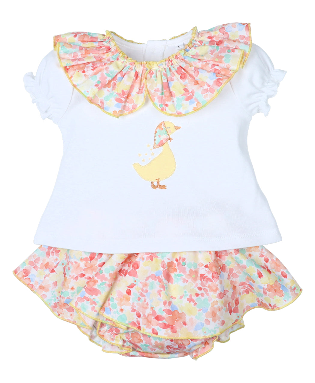 Conjunto colección Recife