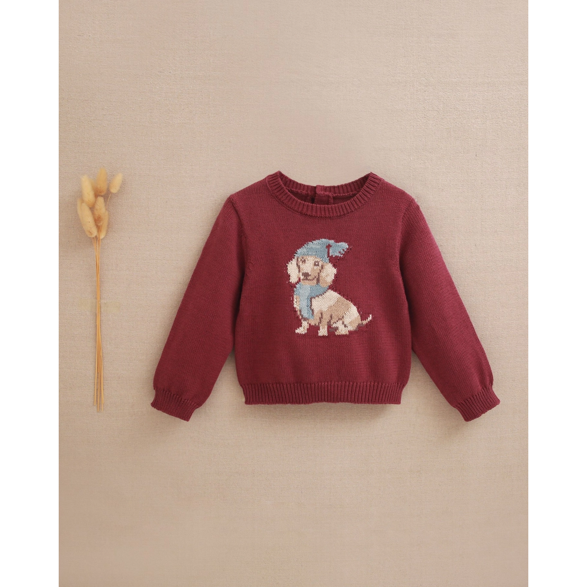 Jersey de bebé niño morado con dibujo de perro salchicha Andersen