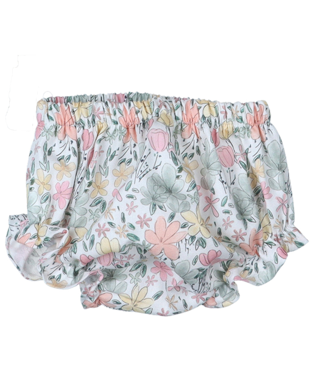 Ranita colección Holanda