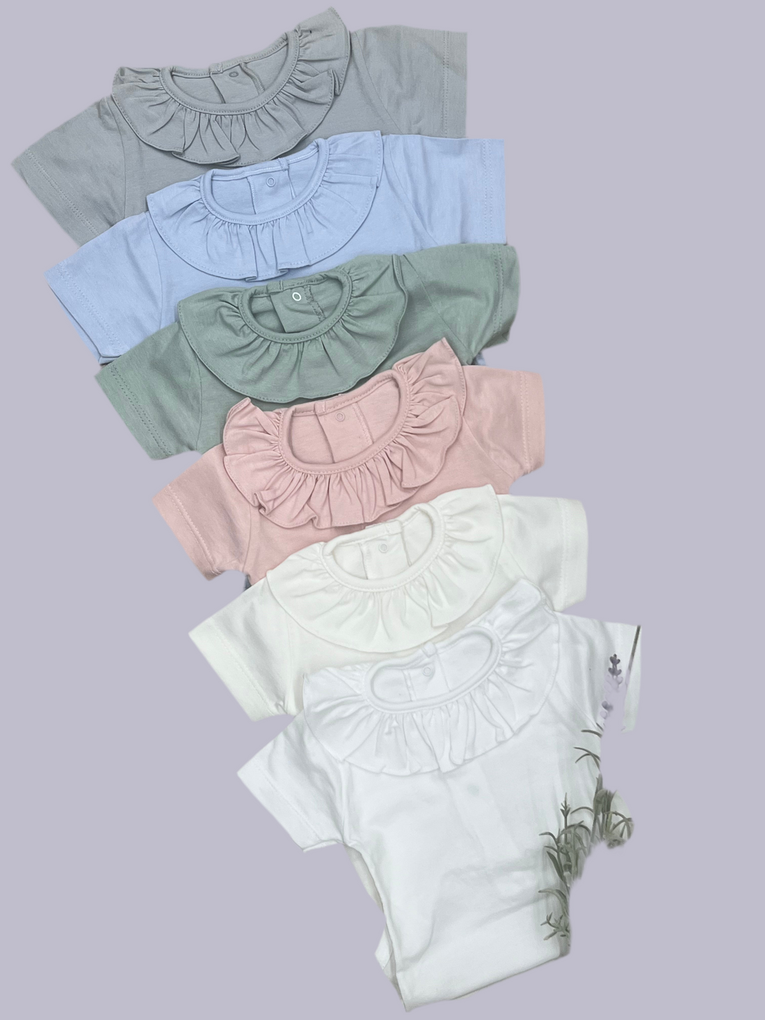 Calamaro Body Camisa Plumeti Bebé-niños Para Body Camisa Plumeti