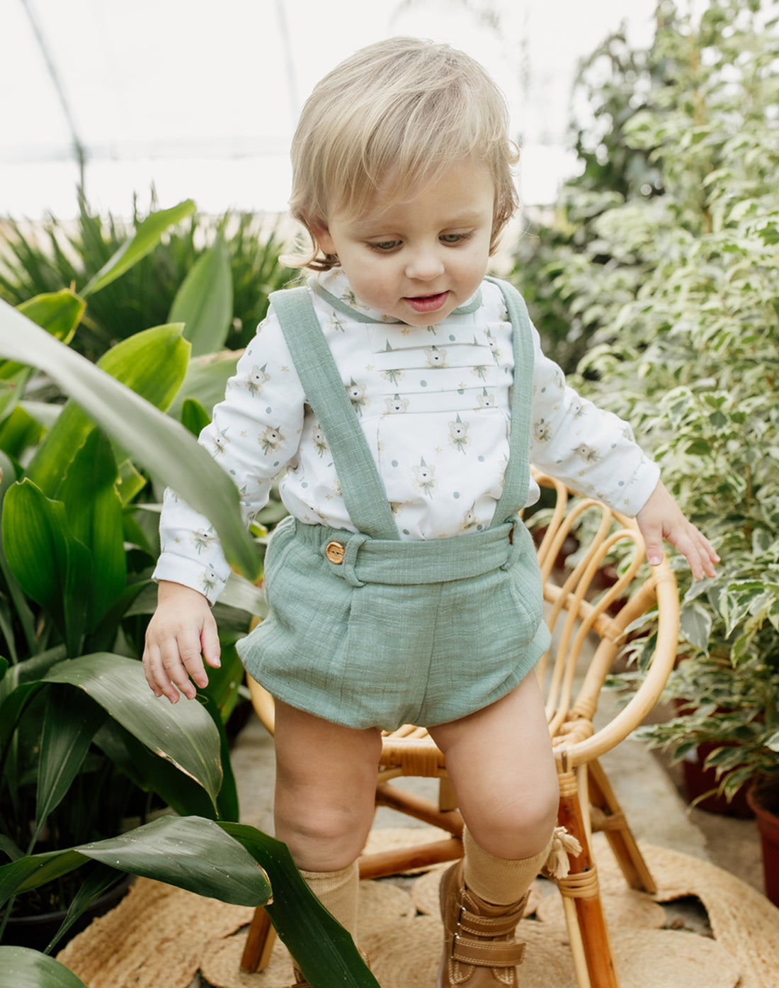 Conjunto Avelline