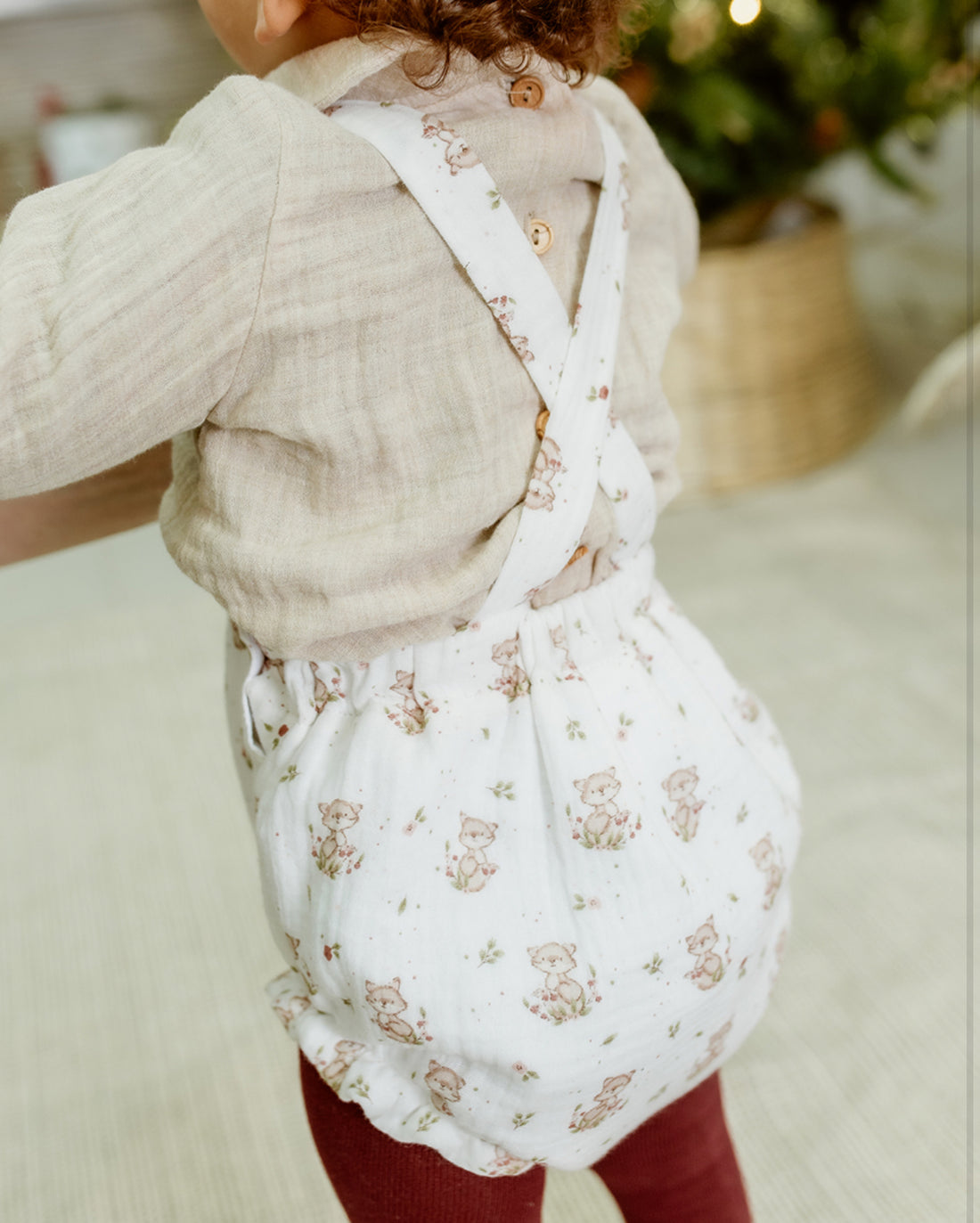 Conjunto Silas