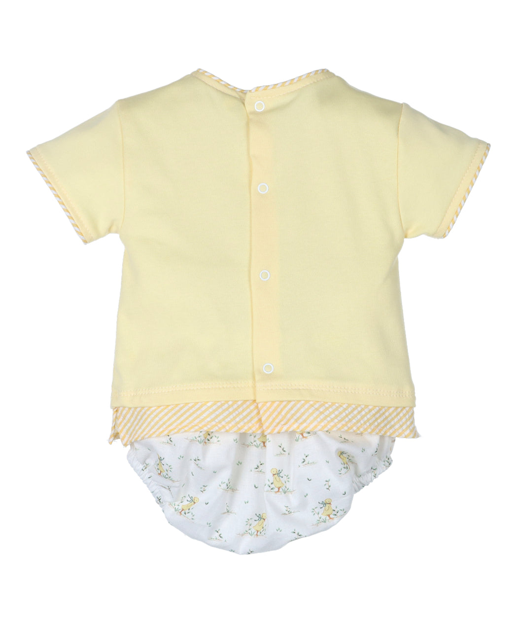 Conjunto ranita colección Honey