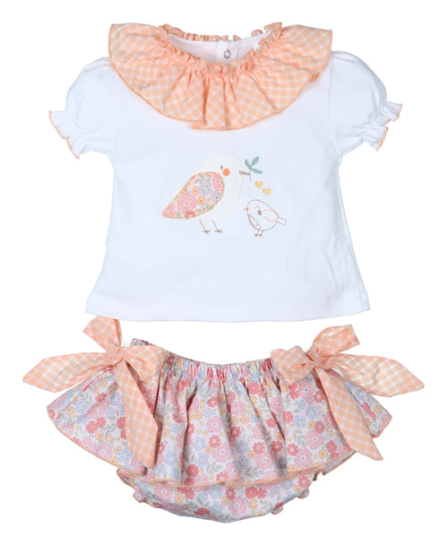 Conjunto colección Picnic