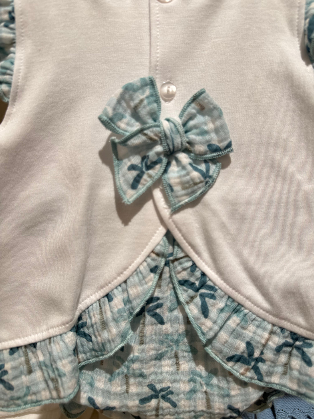 Conjunto colección palmera